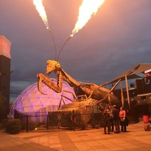 Meet your Posher, Latorsha